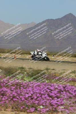 media/Feb-04-2023-SoCal Trackdays (Sat) [[8a776bf2c3]]/Turn 15 Inside Blooming (1050am)/